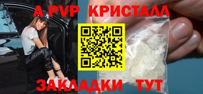 хмурый Кингисепп