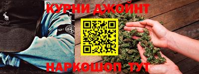 хмурый Кингисепп