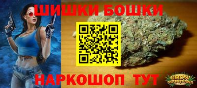 хмурый Кингисепп