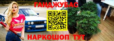 jwh Кимры